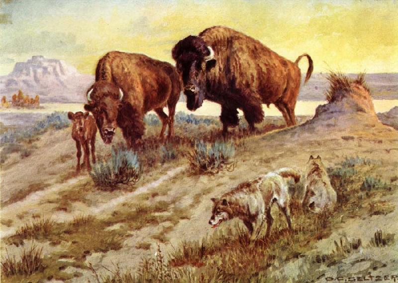unknow artist Buffalo Family oil painting image